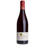 Olivier Merlin Bourgogne Rouge  Red