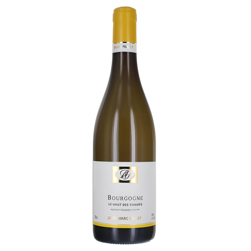 Jean-Marc Pillot Bourgogne Chardonnay Haut des Champs  White